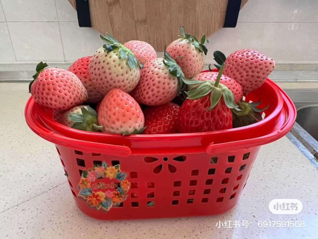 20240517122604901-IMG_1576