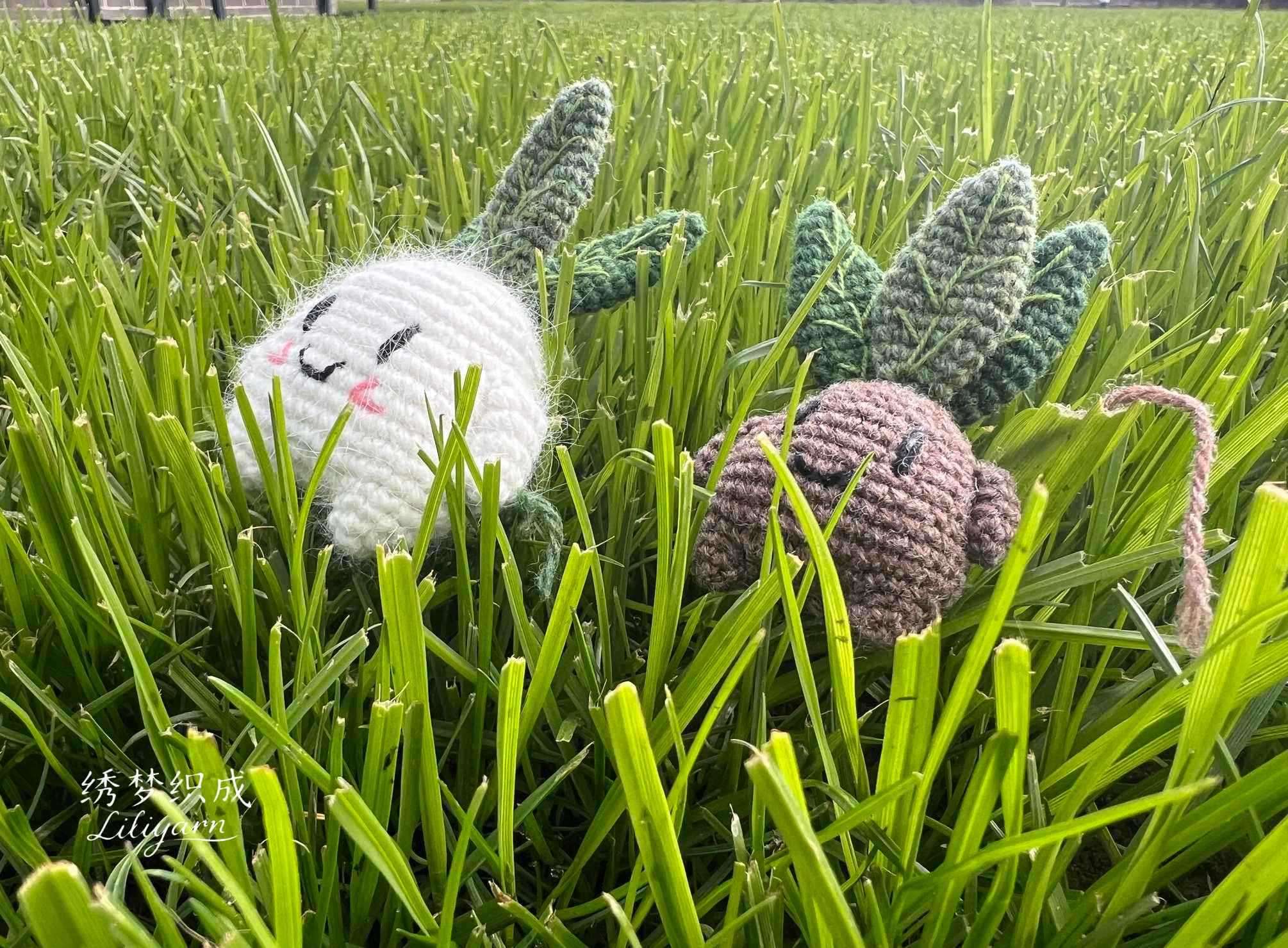 曼德拉草约上小伙伴出去旅游啰！