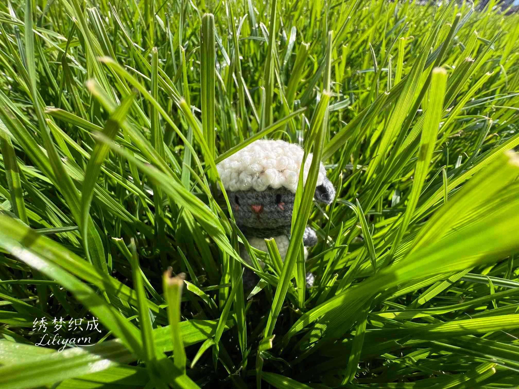 草丛里玩躲猫猫