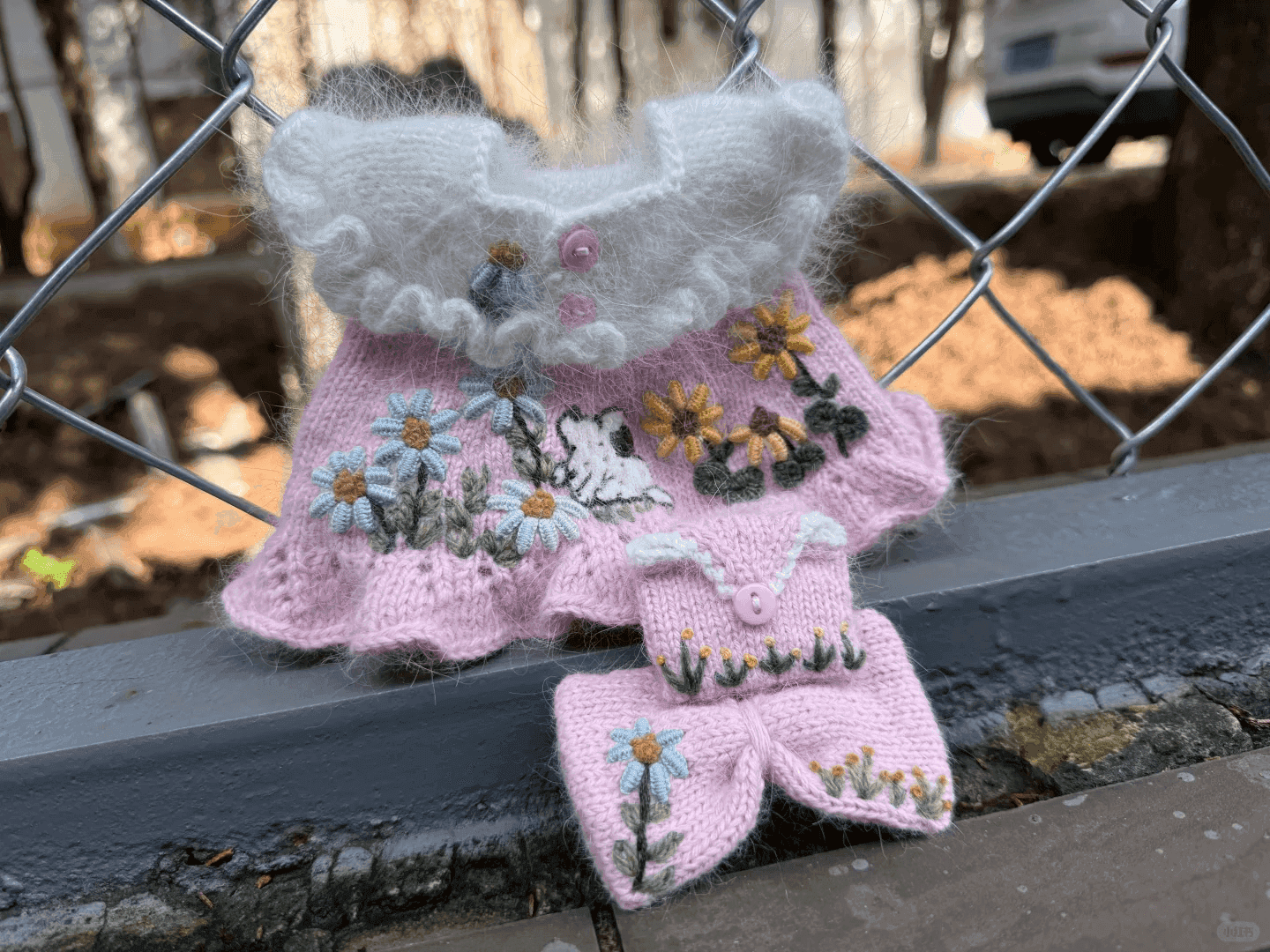 这只布丁狗要过上公主的生活了🧸